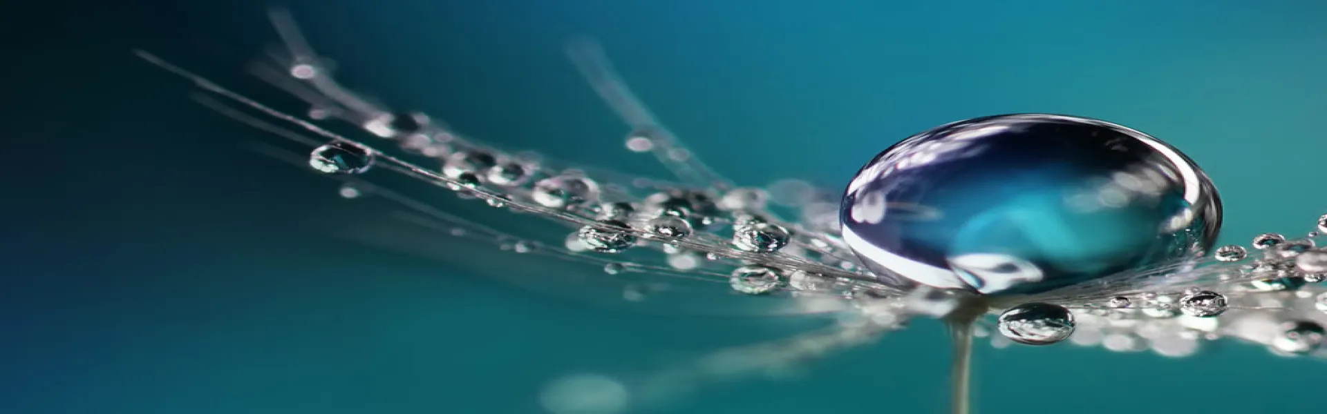 AGIRE per un futuro sostenibile