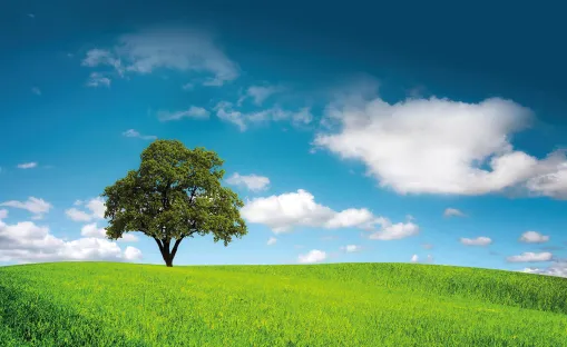 CO2 - impronta ambientale