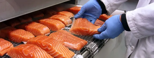 criogenia alimentare - Air Liquide