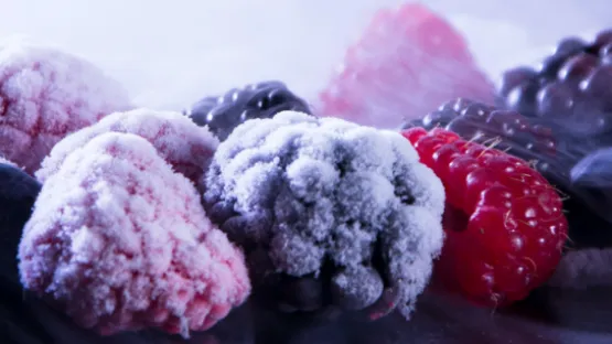 I gas di Air Liquide per la criogenia alimentare 