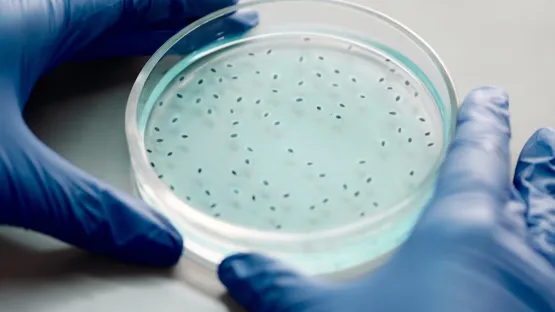 Coltura celle Air Liquide