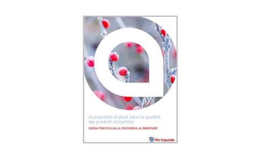 eBook surgelazione criogenica - Air Liquide