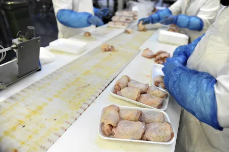 L’emballage de la viande de volaille sous atmosphère protectrice (MAP)