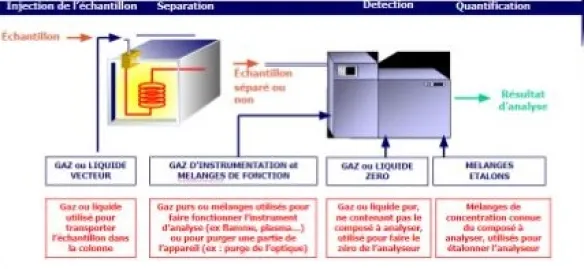 Principio della gascromatografia