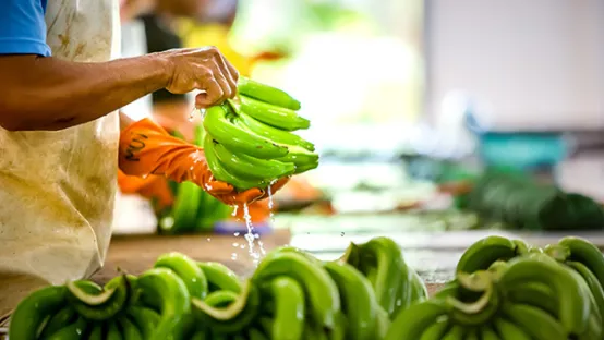 working_with_bananas