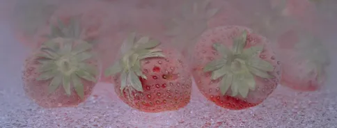 Cryogénie: surgeler, congeler et refroidir les aliments