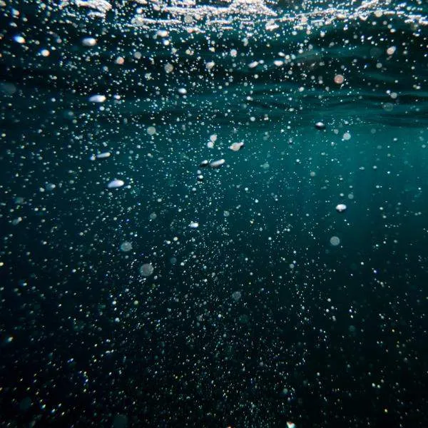 Trattamento biologico acque reflue - Air Liquide