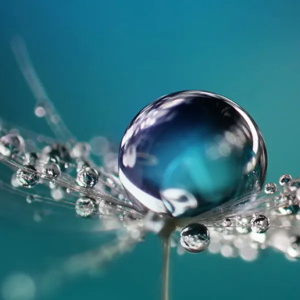 AGIRE per un futuro sostenibile