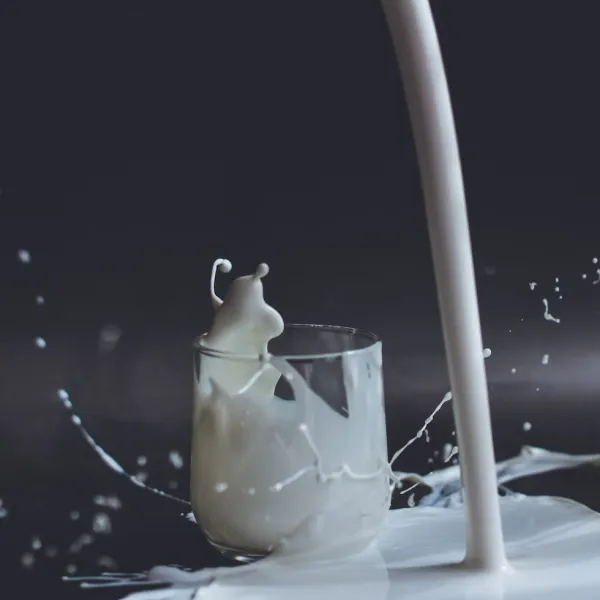 Maximisez la qualité des fromages: le rôle clé du CO2 pour la standardisation du pH du lait 