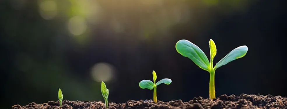 Air Liquide collabora con Rothschild e la Solar Impulse Foundation per accelerare lo sviluppo di soluzioni sostenibili