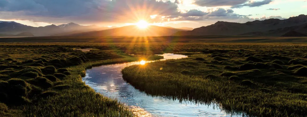 Webinar “Gas tecnici, un modo efficace per ridurre l'impatto ambientale”