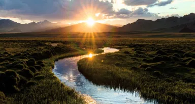 Webinar “Gas tecnici, un modo efficace per ridurre l'impatto ambientale”